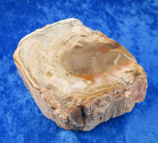 Kivettynyt puu raaka 212g osittain kiillotettu 73x60x30mm 23C