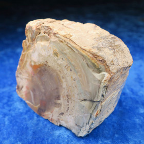 Kivettynyt puu raaka 212g osittain kiillotettu 73x60x30mm 23C