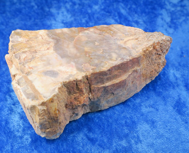 Kivettynyt puu raaka 236g 55x85x33m 23G Madagaskar