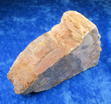 Kivettynyt puu raaka 236g 55x85x33m 23G Madagaskar