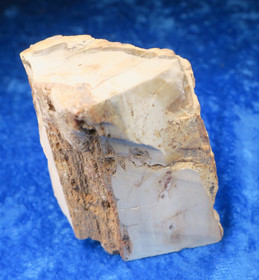 Kivettynyt puu raaka 173g, korkeus 65mm 23E Madagaskar 