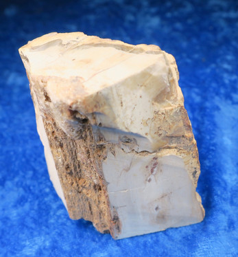 Kivettynyt puu raaka 173g, korkeus 65mm 23E Madagaskar 