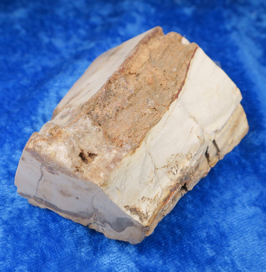 Kivettynyt puu raaka 173g, korkeus 65mm 23E Madagaskar 