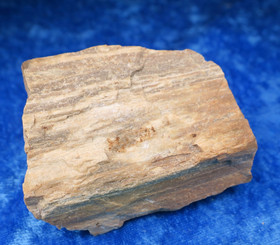 Kivettynyt puu raaka 149g, korkeus 60mm  23H Madagaskar