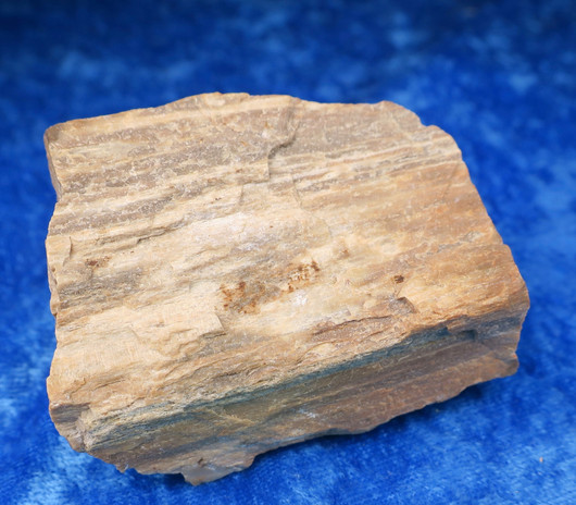 Kivettynyt puu raaka 149g, korkeus 60mm  23H Madagaskar