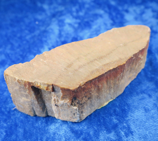 Kivettynyt puu raaka 89g, pituus 75mm 23J Madagaskar