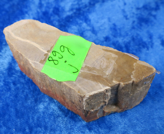 Kivettynyt puu raaka 89g, pituus 75mm 23J Madagaskar