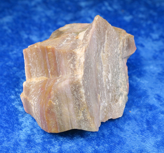 Kivettynyt puu raaka 106g, 4-5cm kanttiinsa 23i Madagaskar