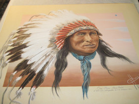 Juliste Intiaanipäällikkö One Star Sioux 