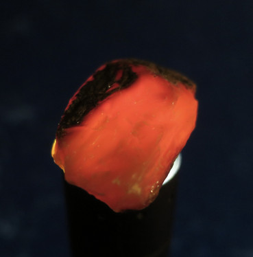 Meripihka raaka 21g 55x30x25mm tumma 20g Indonesia AMB1 