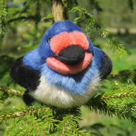 Pehmolelu pääskynen, lintu 