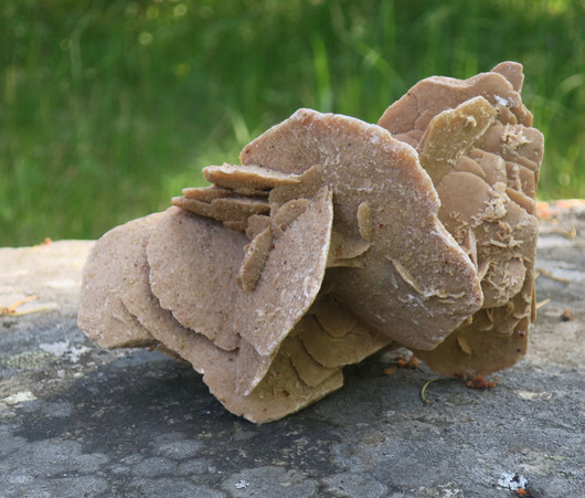 Hiekkaruusu paino 1,5kg aavikkoruusu