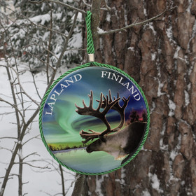 Pannunalusta revontulet ja poro, taustassa korkkipinta