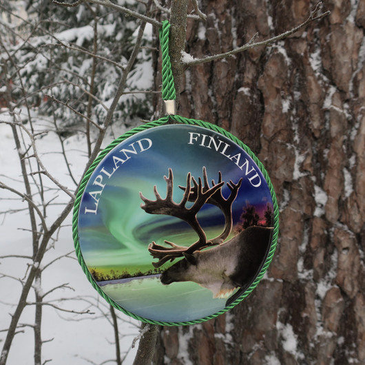 Pannunalusta revontulet ja poro, taustassa korkkipinta