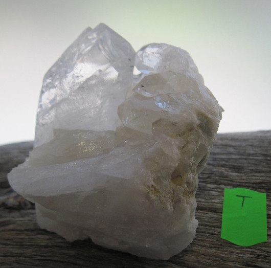 Vuorikidesykerö  308g 55T