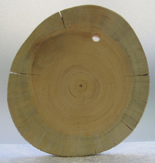  Kelopuukiekko 7-8mm siivu 9x10cm, ripustamista varten 5mm reikä