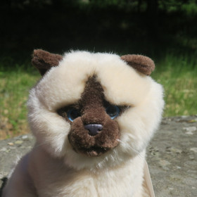 Pehmolelu kissa beige 20cm