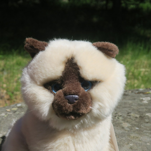 Pehmolelu kissa beige 20cm