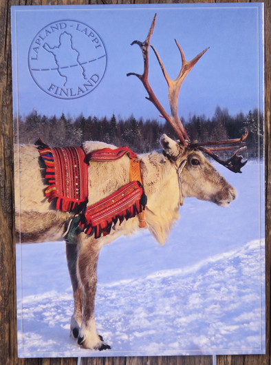 Postikortti poro valjaissa