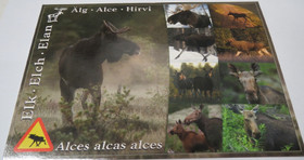 Postikortti hirvi 9 kuvaa