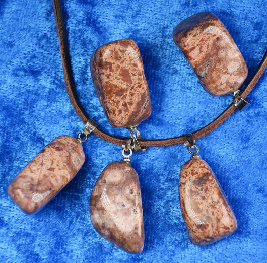 Riipus leopardijaspis rumpuhiottu