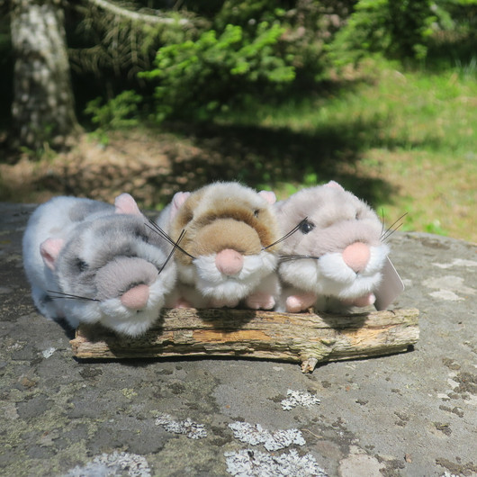 Pehmolelu hamsteri