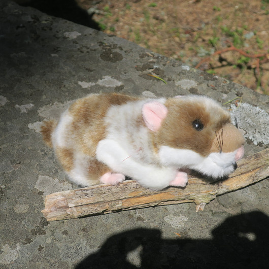 Pehmolelu hamsteri