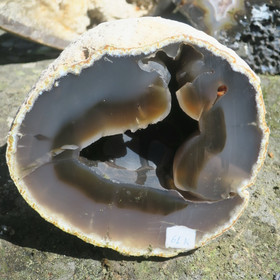 Akaattigeodi iso 2,7kg  61K