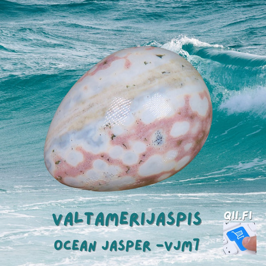  Kivimuna valtamerijaspis n.35mm. Valitse vjm5-7