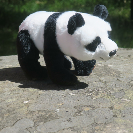 Pehmolelu panda 22cm, kuonosta häntään 27cm