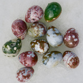  Kivimuna valtamerijaspis n.35mm muna nro 1-4 Madagaskar