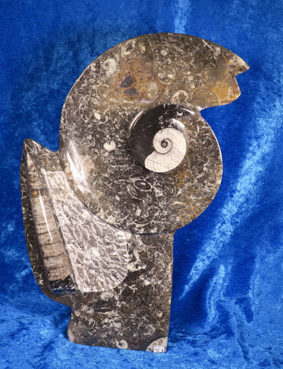 Fossiiliveistos 20x30cm