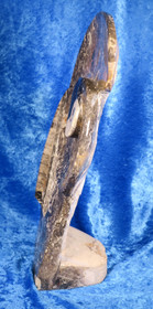 Fossiiliveistos 20x30cm