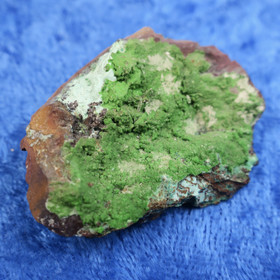 Konikalkiitti Conichalcite kupariarseeni 20,9g raaka USA nroA