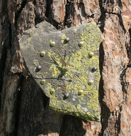 Seinäkello kvartsiitti sammalkivikello 23x16cm  310-1