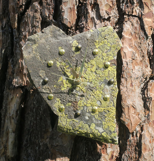 Seinäkello kvartsiitti sammalkivikello 23x16cm  310-1