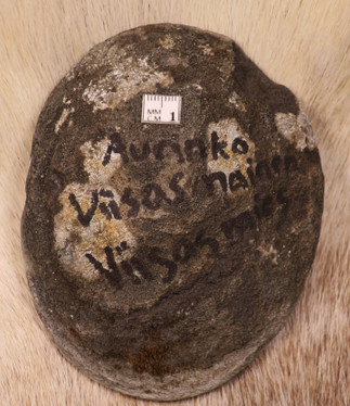 Shamaanikivi aurinko, viisas nainen ja viisas mies kvartsiitti 532g 