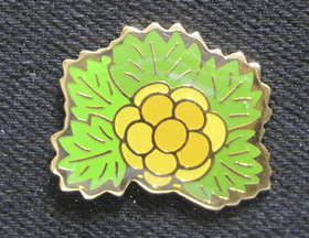 Pinssi hilla, lakka, suomuurain, metallipinssi