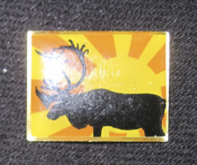 Pinssi poro ja yöaurinko