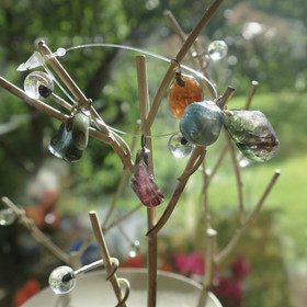 Riipus rumpuhiottu vesimeloniturmaliini elbaiitti. Ryhmä 1