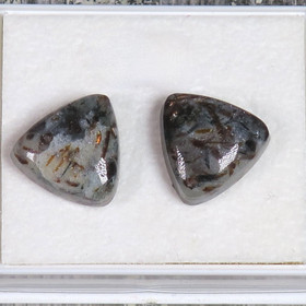 Nappikorvakorut astrofylliitti kolmio B