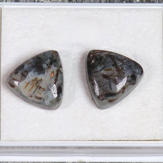 Nappikorvakorut astrofylliitti kolmio B