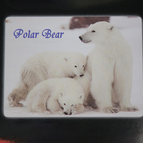 3D-Magneetti jääkarhut