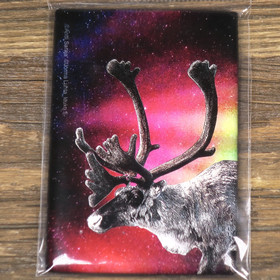 Magneetti poro ja punaiset revontulet