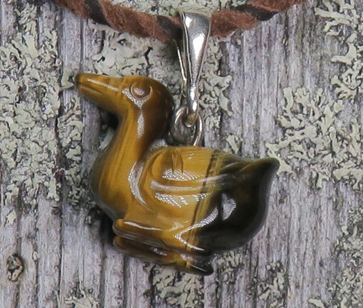 Riipus tiikerinsilmä lintu ankka tai sorsa