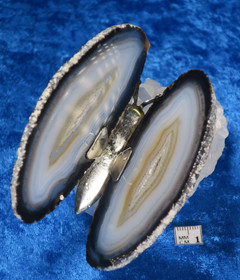 Akaattiperhonen vuorikidesykeröllä 