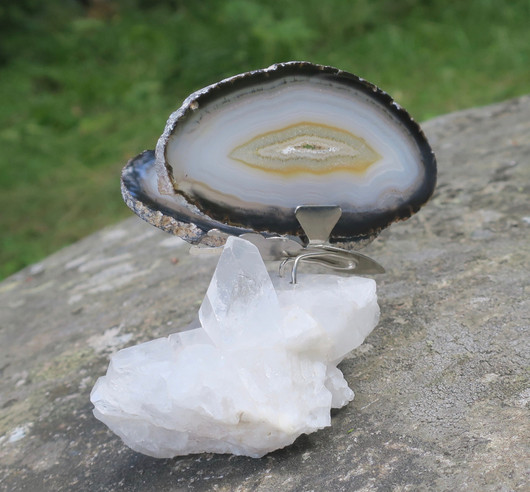 Akaattiperhonen vuorikidesykeröllä 