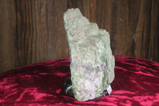 Kromidiopsidi vihreä raakapala 398g nro80a Suomi