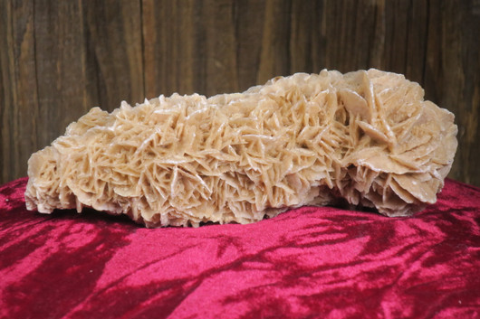 Hiekkaruusu 830g pituus 19cm aavikkoruusu