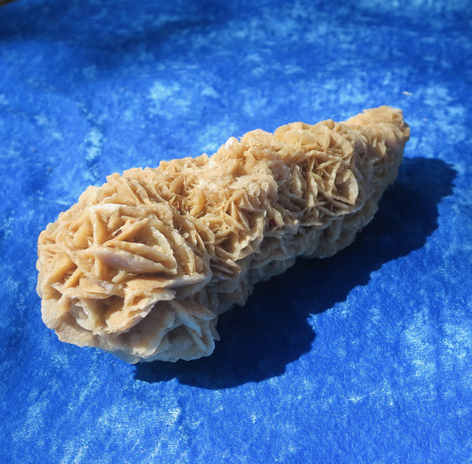 Hiekkaruusu 830g pituus 19cm aavikkoruusu